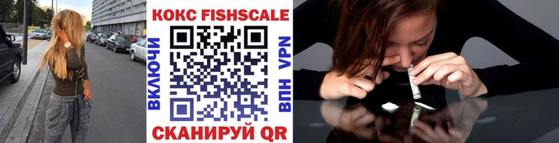 Cocaine FishScale  Купить закладки  Гусь-Хрустальный 