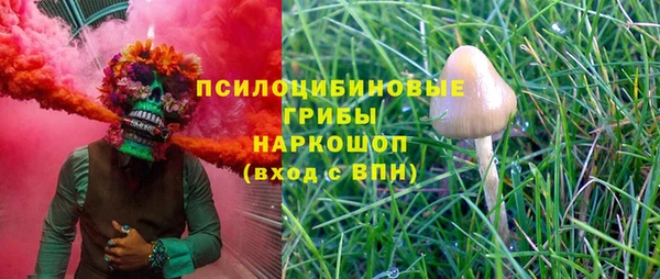 скорость Каменногорск