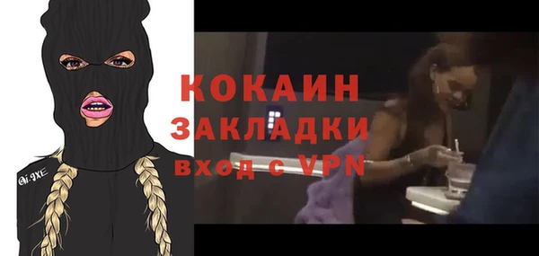 скорость Каменногорск