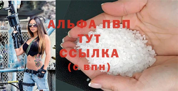 скорость Каменногорск