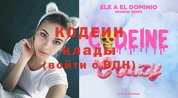 скорость Каменногорск